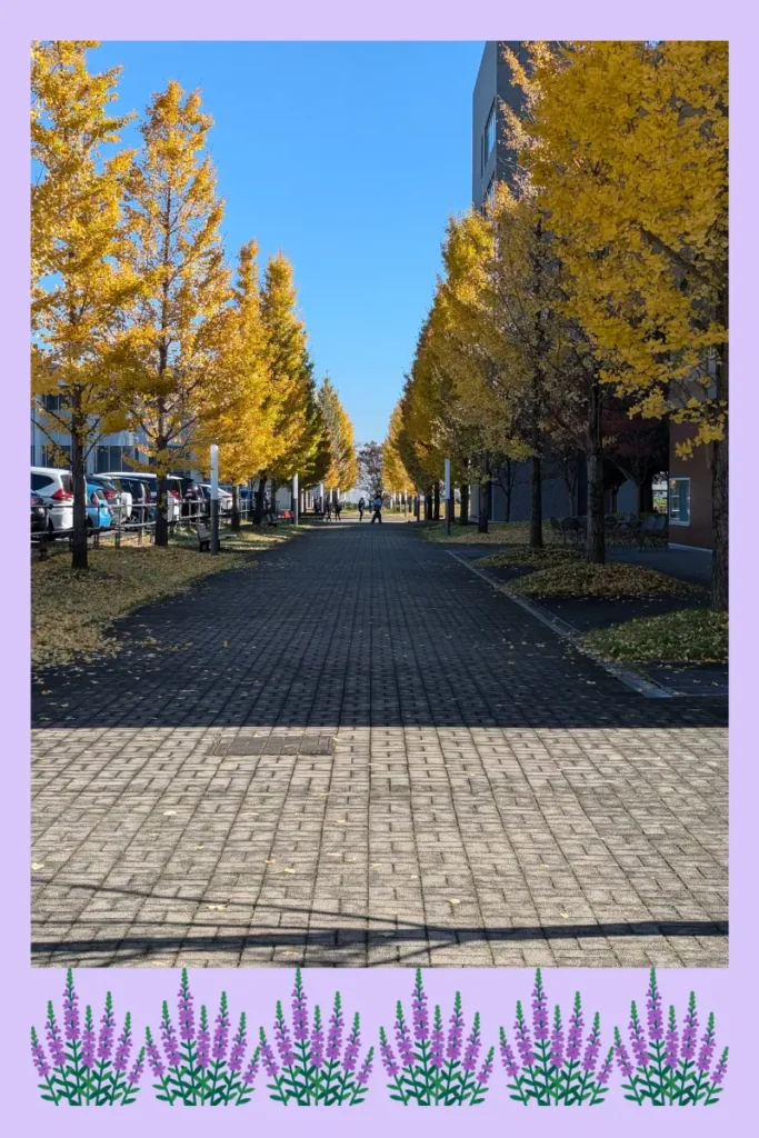 大学病院の並木道を散歩する様子
