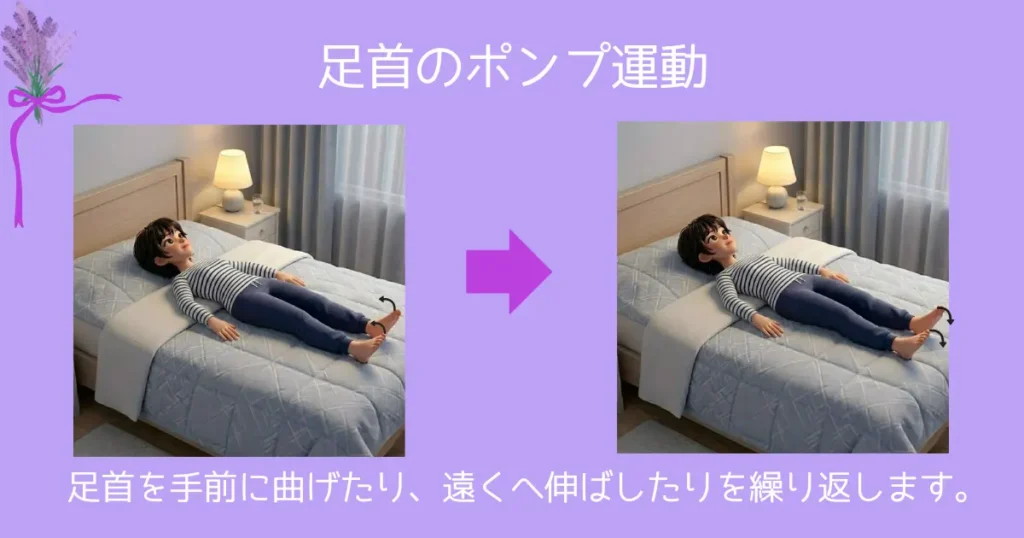 足首のポンプ運動
足首を手前に曲げたり、遠くへ伸ばしたりを繰り返します。